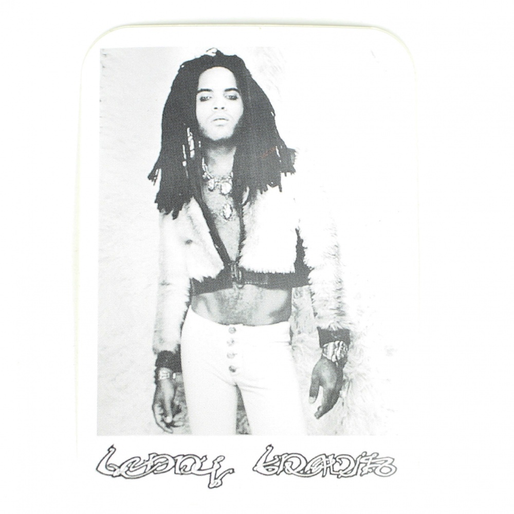 Lenny Kravitz Vinyl Sticker